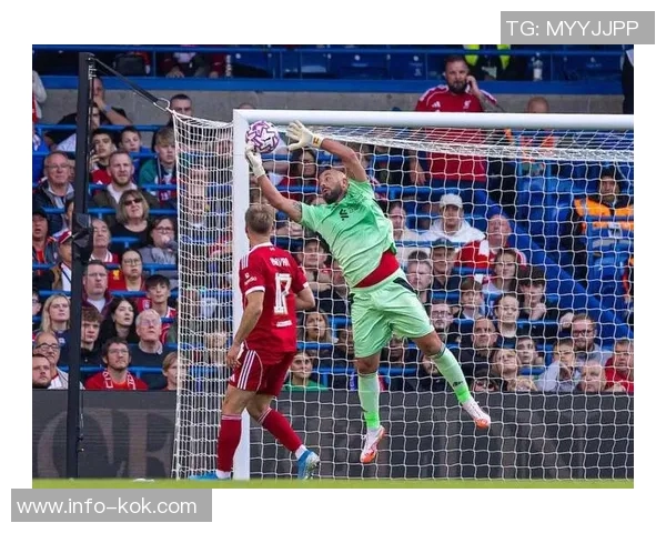 巴贝尔绝杀致敬若塔赛后模仿庆祝动作展现团队精神与友谊 巴贝尔绝杀致敬若塔赛后模仿庆祝动作展现团队精神与友谊